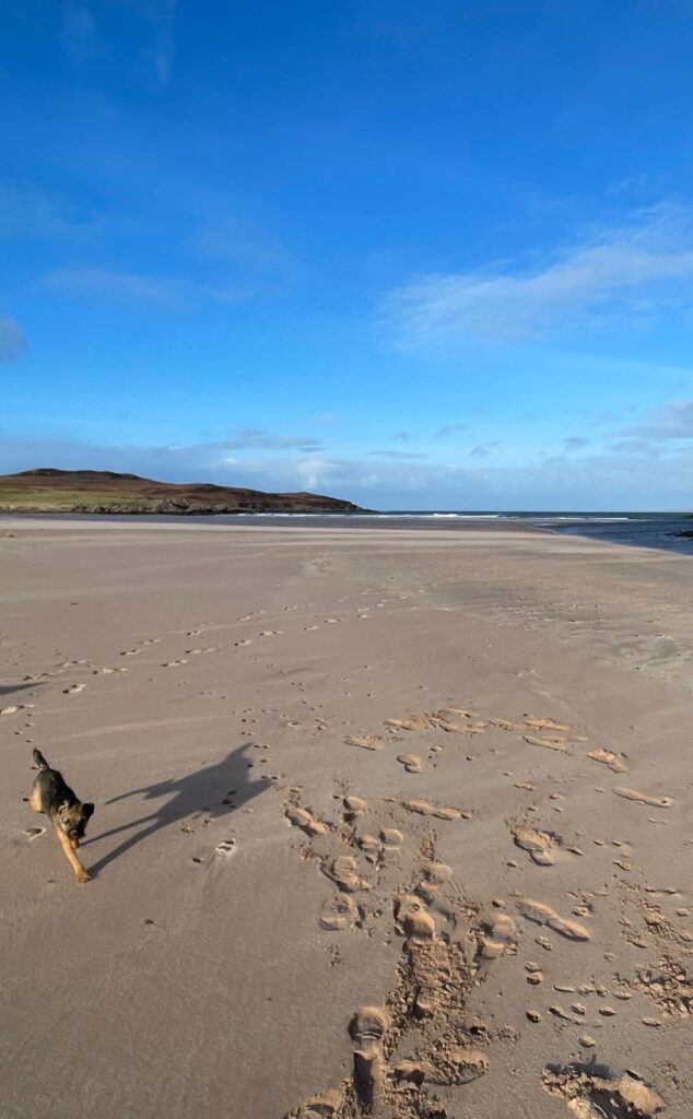 Wiggum loves Achnahaird Beach! Best Beach in The Summer Isles